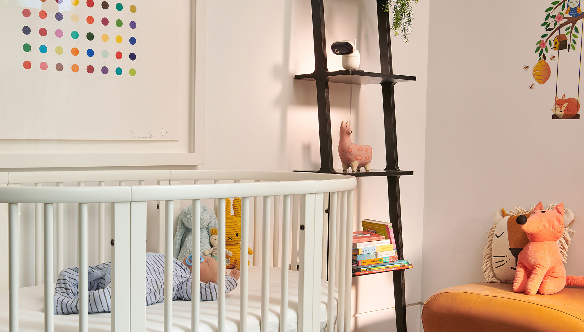 PIP1510 CONNECT - Wi-Fi® Video Baby Camera - Content Image